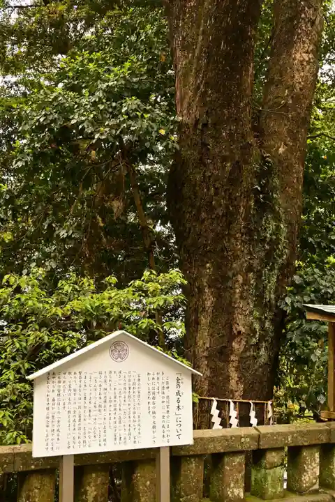 久能山東照宮(静岡県)