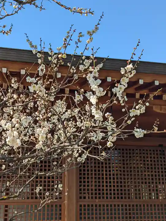 城南宮(京都府)