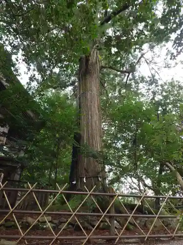 須佐神社(島根県)