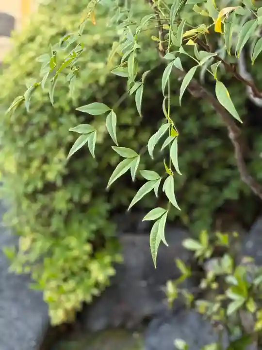 西方山極楽寺(岐阜県)