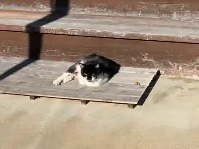 林光寺(三重県)