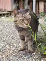 小浜神社(福井県)