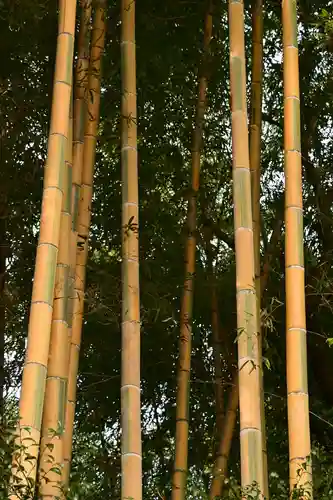 三ケ所神社(宮崎県)