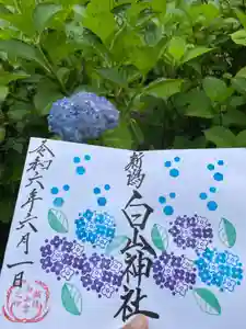 白山神社の御朱印 2024年06月01日(土)〜(2024年06月01日(土) 17時46分25秒投稿)