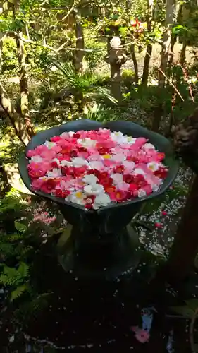 法然院の手水舎