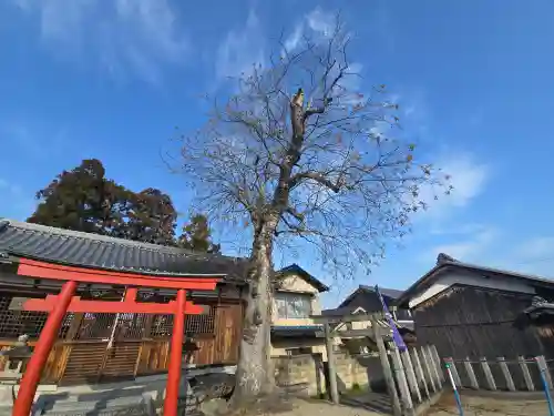 染野稲荷神社(奈良県)