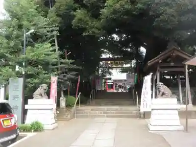 金ヶ作熊野神社の狛犬