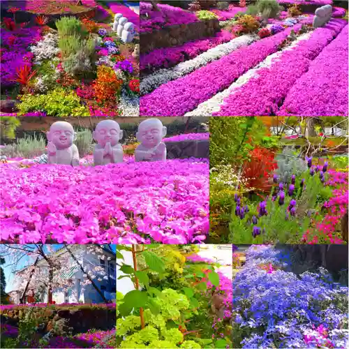 寿量山　速成寺(奈良県)