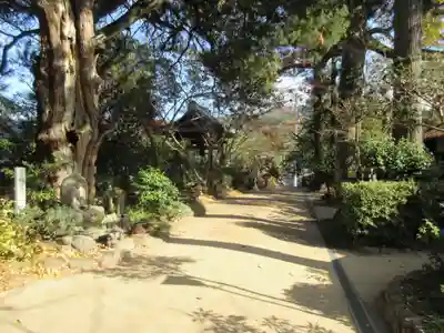 浄瑠璃寺(愛媛県)