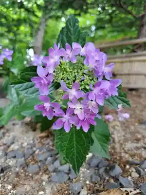 厚別神社(北海道)