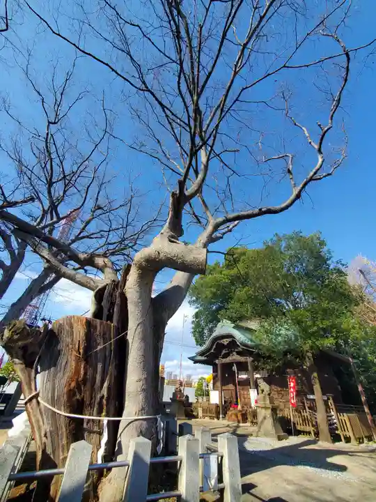 阿邪訶根神社(福島県)