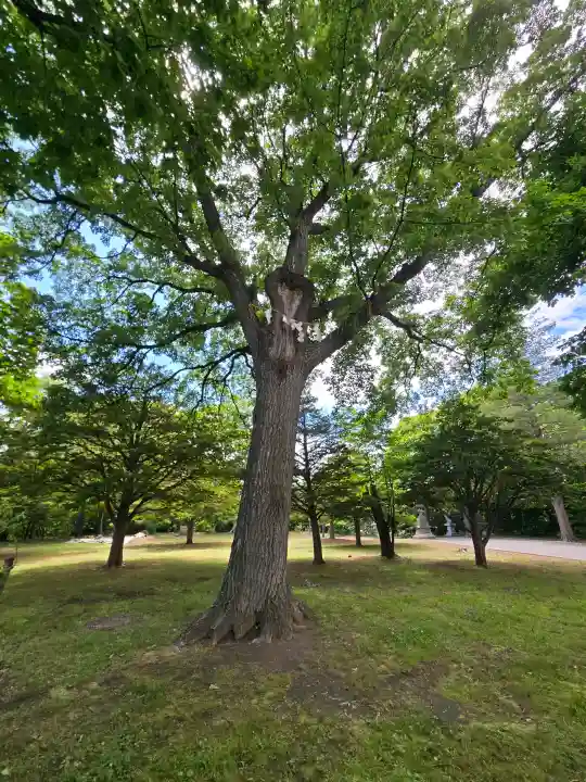 厚別神社(北海道)