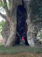 高源寺(茨城県)