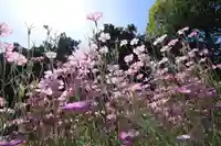 豊景神社の庭園