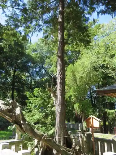 弓削神社の建物その他