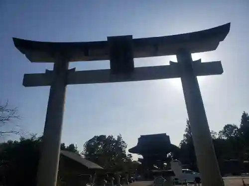 苗村神社の鳥居