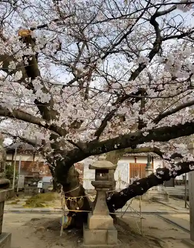 聖天山正圓寺の自然