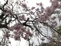 高善寺(福井県)