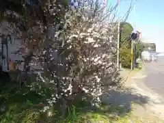 愛宕神社の自然