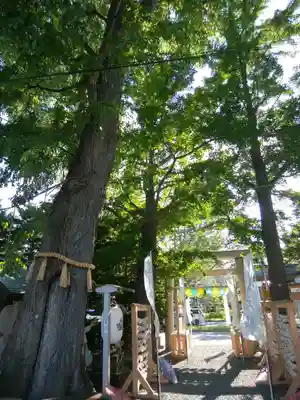札幌諏訪神社のその他建物