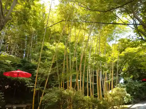三井寺（平等寺）(福岡県)
