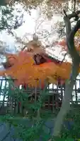賴政神社(群馬県)