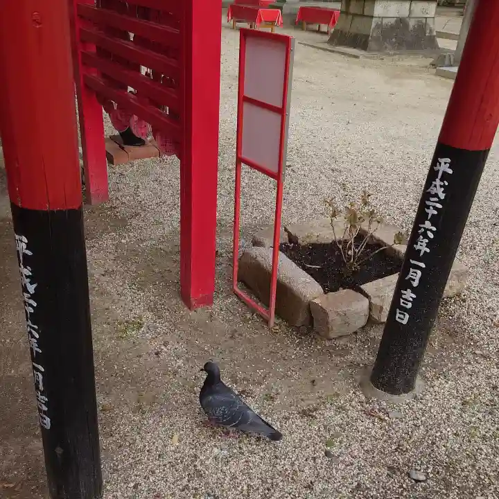 菅生神社の動物