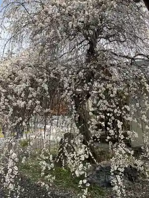 慈眼寺(愛知県)