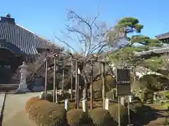 金剛寺(東京都)