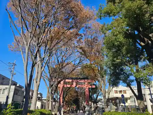 武蔵一宮氷川神社(埼玉県)