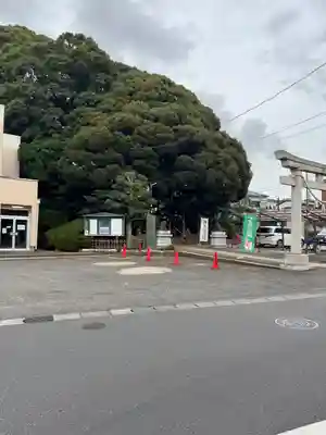 金ヶ作熊野神社(千葉県)