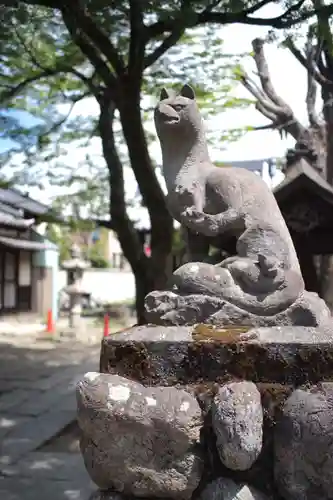 伊奈利神社の狛犬