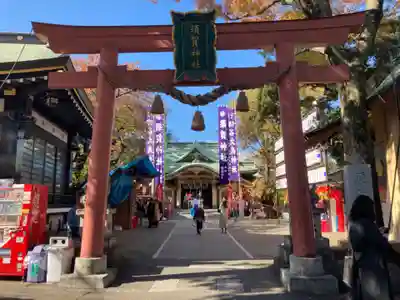 須賀神社の鳥居