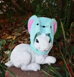 三輪神社の狛犬(2020年02月07日(金) 21時44分55秒投稿)