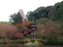 浄瑠璃寺の建物その他