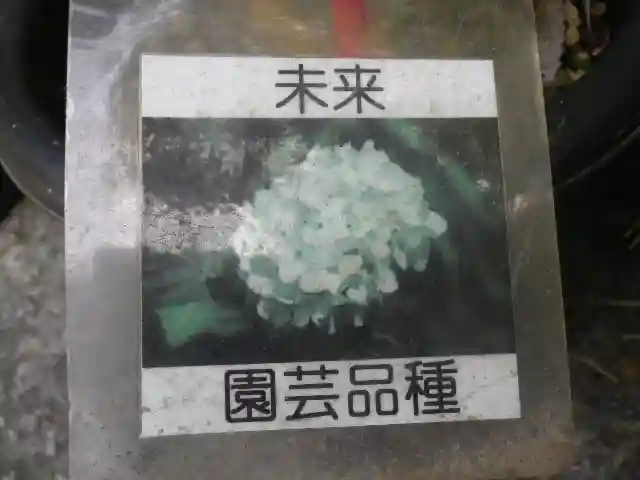 光則寺(神奈川県)