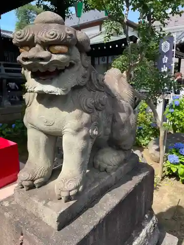 白山神社(東京都)