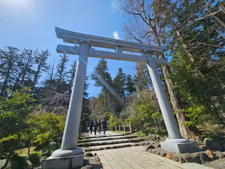 彌彦神社(新潟県)