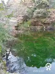 富士山本宮浅間大社の庭園