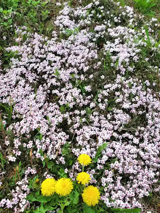 高司神社〜むすびの神の鎮まる社〜(福島県)