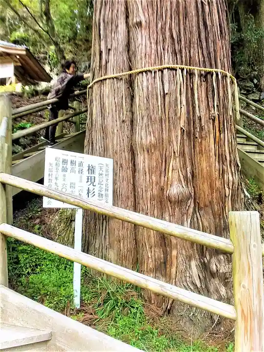 八女津媛神社の自然