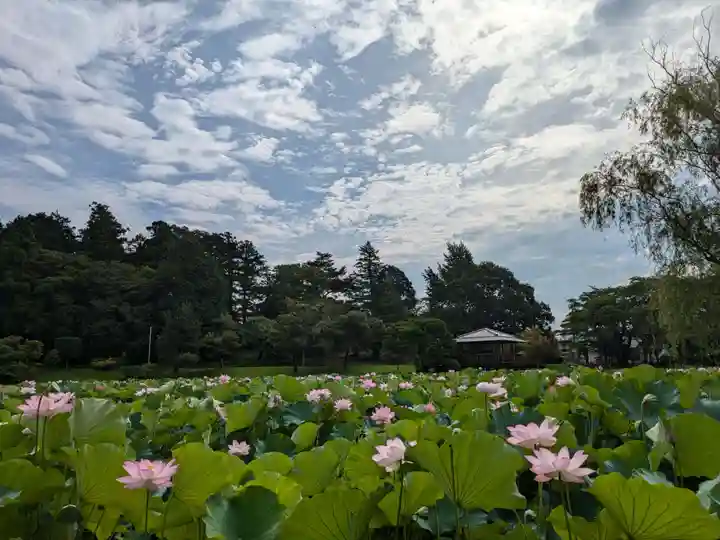 岩井八坂神社(茨城県)