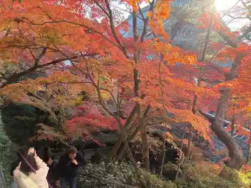 禅林寺（永観堂）(京都府)
