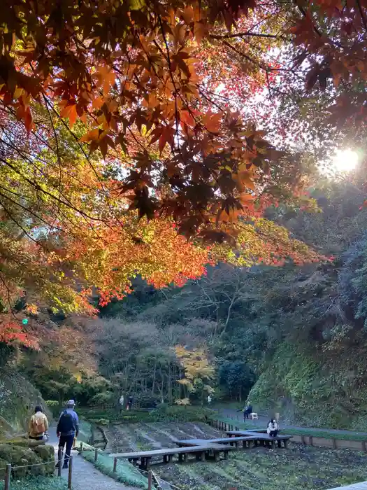 明月院の建物その他