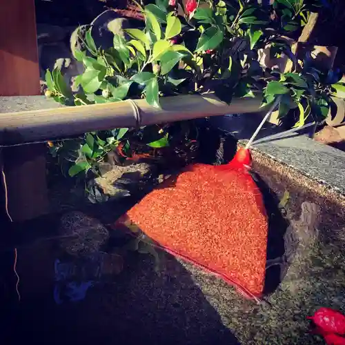 高司神社〜むすびの神の鎮まる社〜の手水