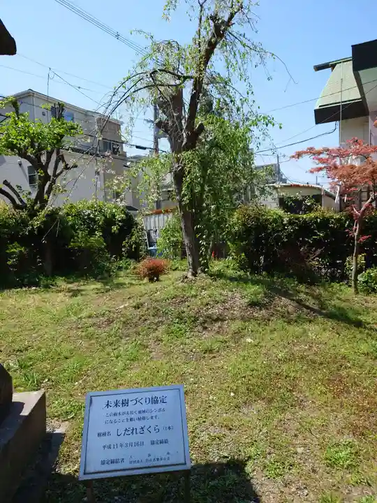 住吉大社(大阪府)