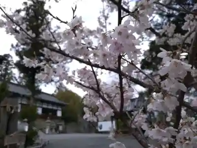 伊太祁曽神社(和歌山県)