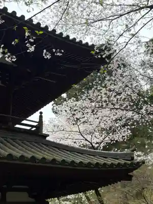 龍潭寺(静岡県)
