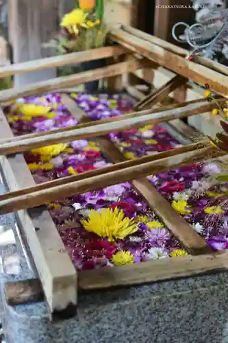 東京大神宮(東京都)