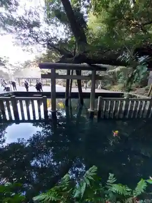 鹿島神宮(茨城県)